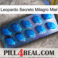 Leopard Secret Miracle Honey viagra1